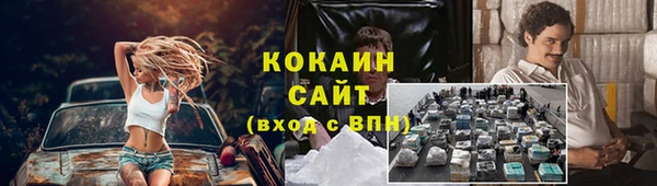 сатива Иннополис