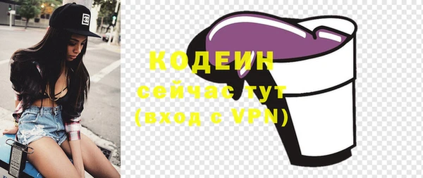 мдпв Инта