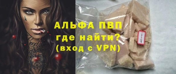 сатива Иннополис