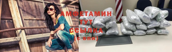 мдпв Инта