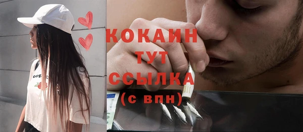 сатива Иннополис