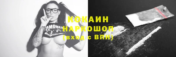 мдпв Инта