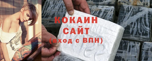 мдпв Инта