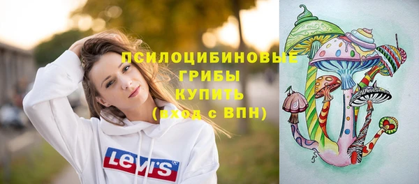 мдпв Инта
