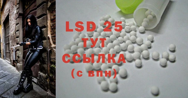 сатива Иннополис