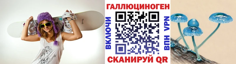 Галлюциногенные грибы Psilocybine cubensis  Купить где  Кировград 