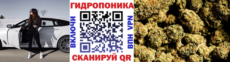 Бошки Шишки семена Кировград